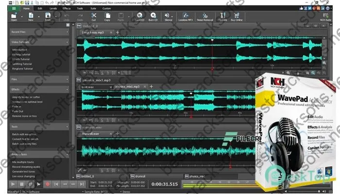 NCH WavePad Crack 19.0 Full Free Activated