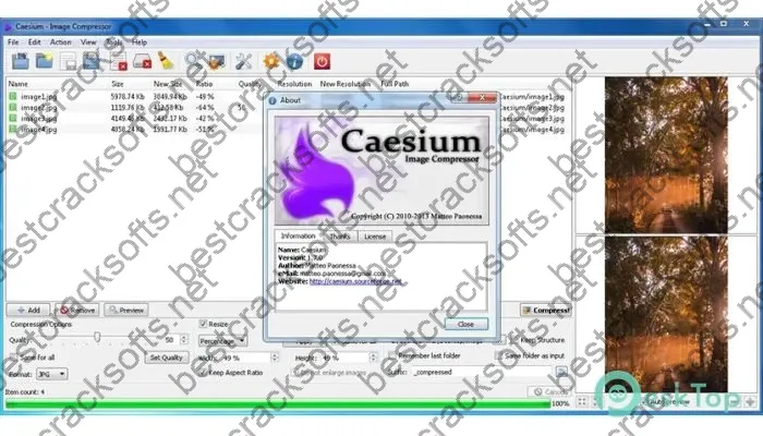 Caesium Image Compressor Crack 2.6.0 Free Download